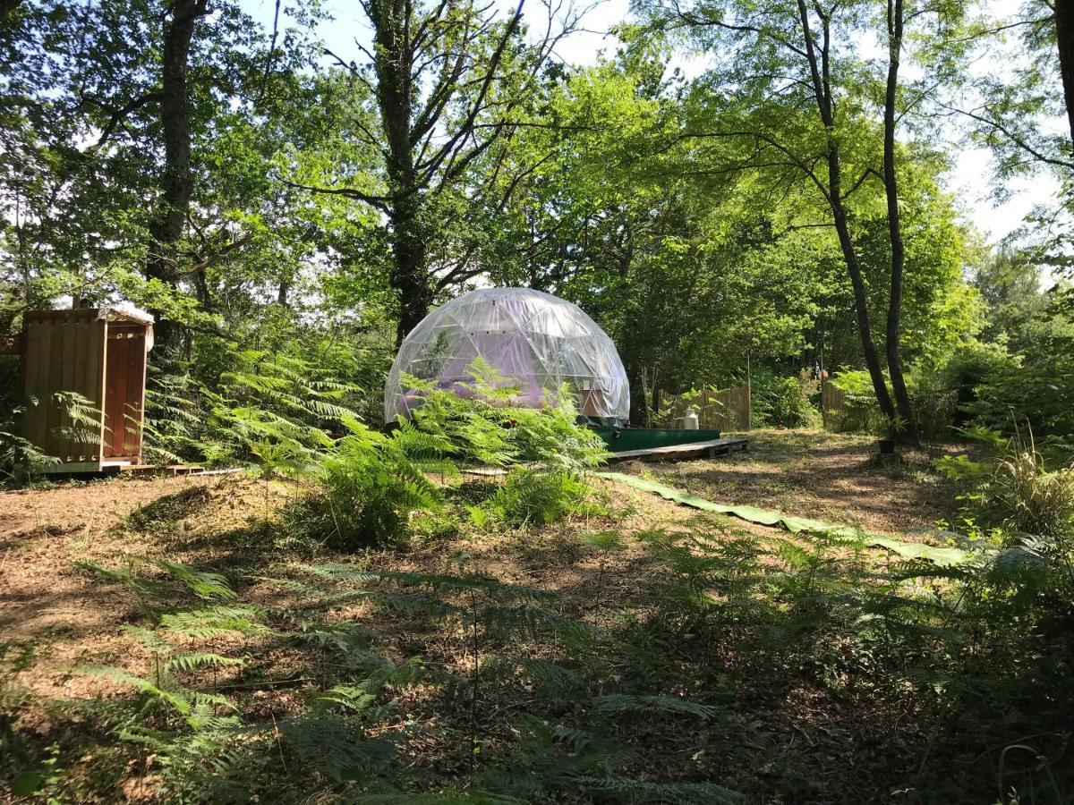 Bulle Etoilee En Nature Landaise Saint-Sever  Exteriér fotografie